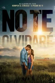 No te olvidaré